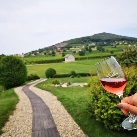 Roze Vendeghaz Hotel Villány Buitenkant foto