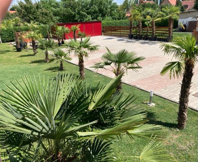 Roze Vendeghaz Hotel Villány Buitenkant foto
